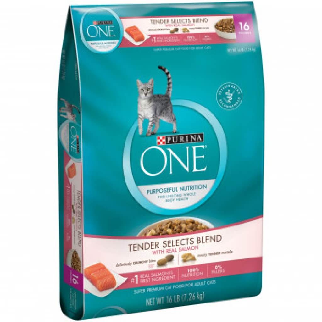 Best Dry Cat Food Reviews 2021 ⋆ PetFoodReviews.Online